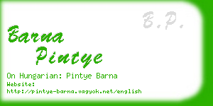 barna pintye business card